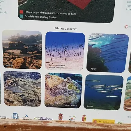 Complejo 